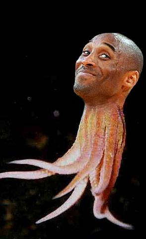 look at that fucking picture of shaq